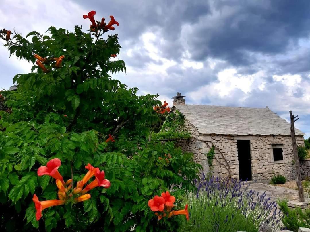 Country House Hacienda Selca  Экстерьер фото